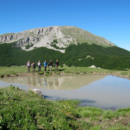 B&B Sole Del Pollino Rotonda Exteriér fotografie