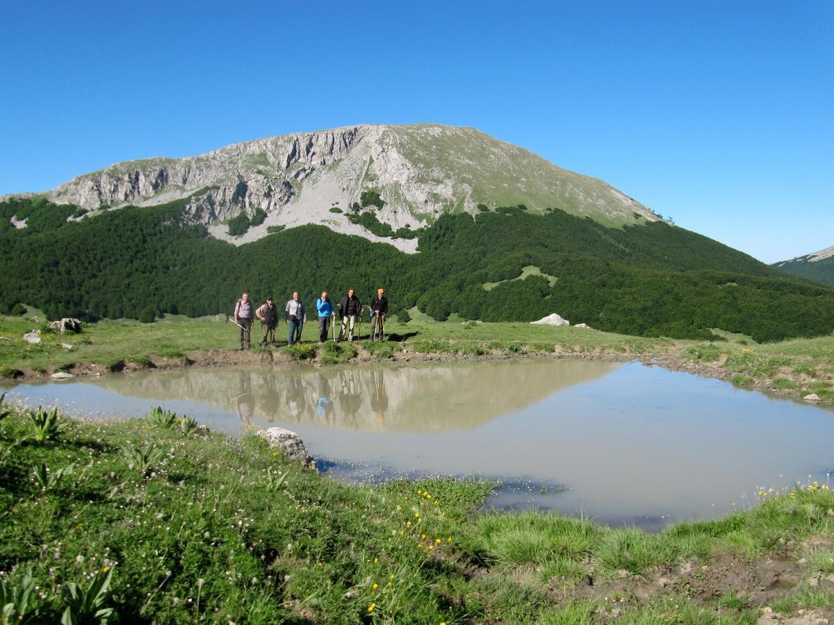 B&B Sole Del Pollino Rotonda Exteriér fotografie