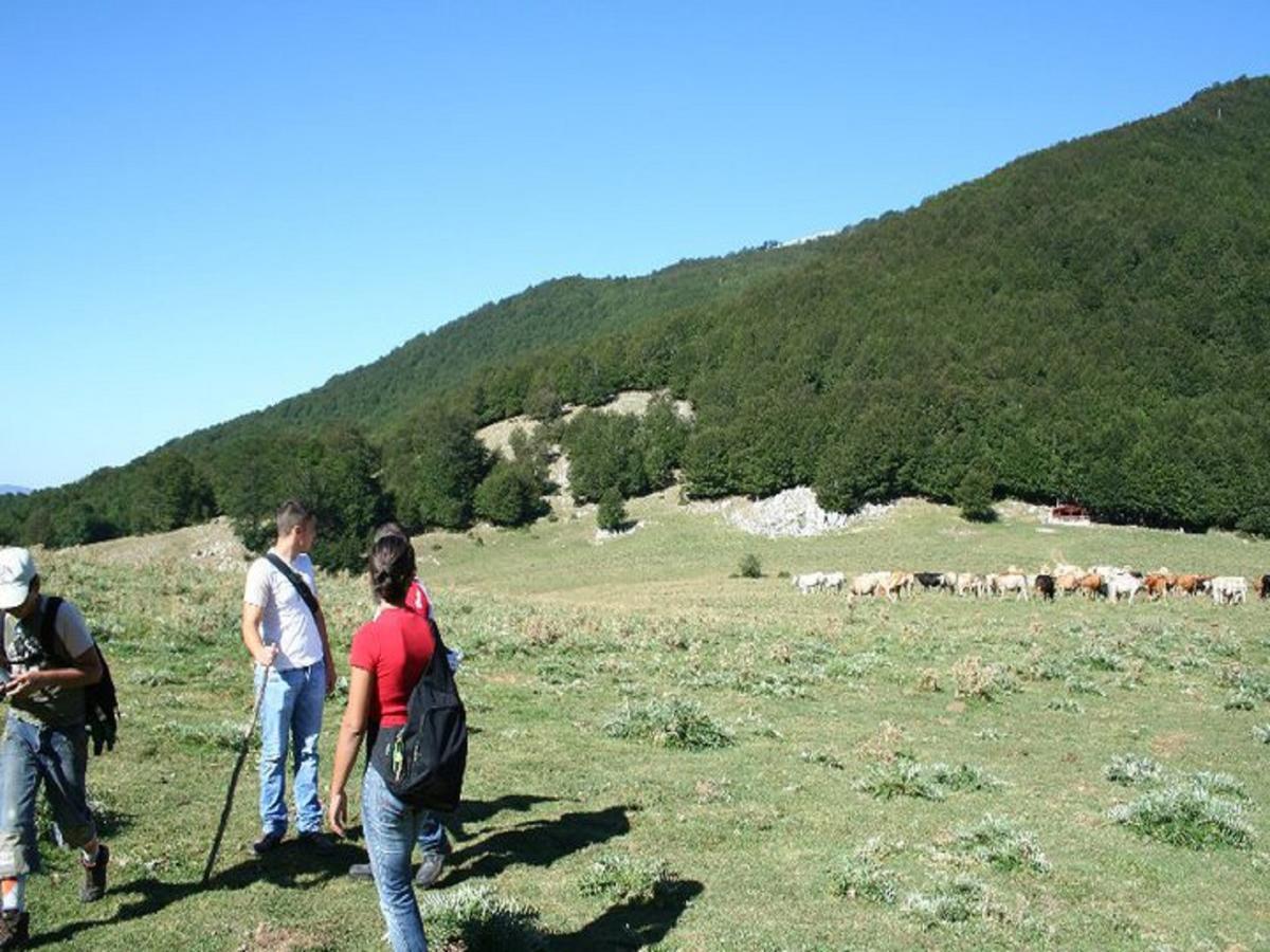 B&B Sole Del Pollino Rotonda Exteriér fotografie